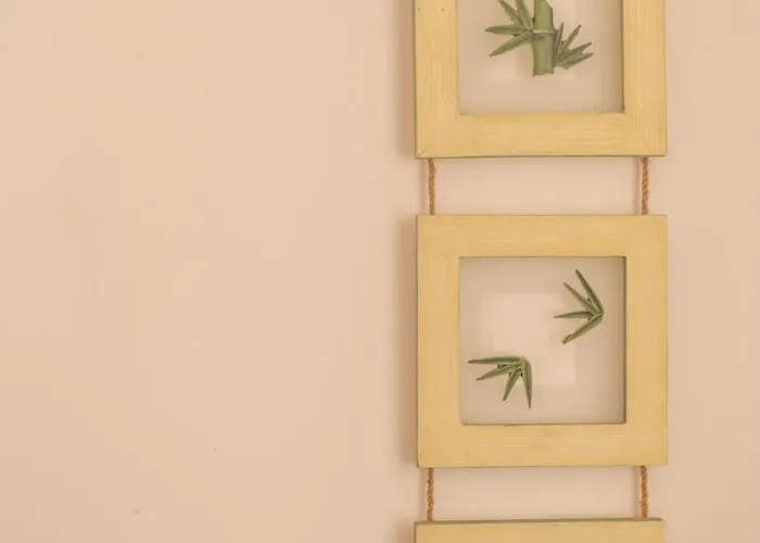 De Tourisme Le Clos Des Vendanges Moriani Plage